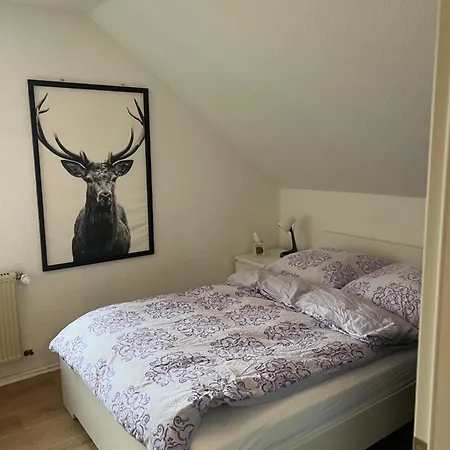 イン Kirchstrasse 71 *