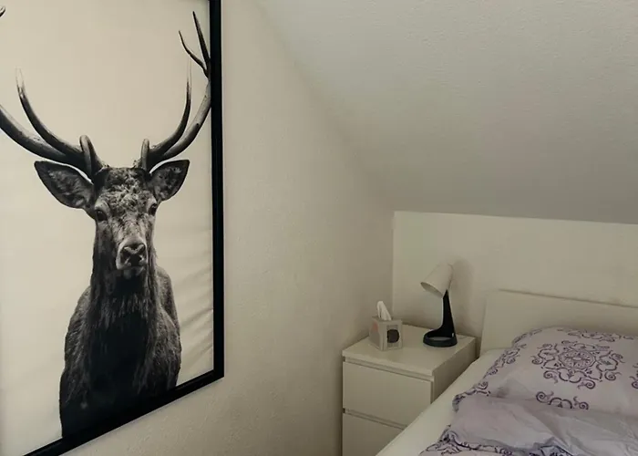 Kirchstrasse 71 אורחן